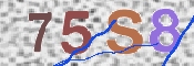 Obrazek CAPTCHA
